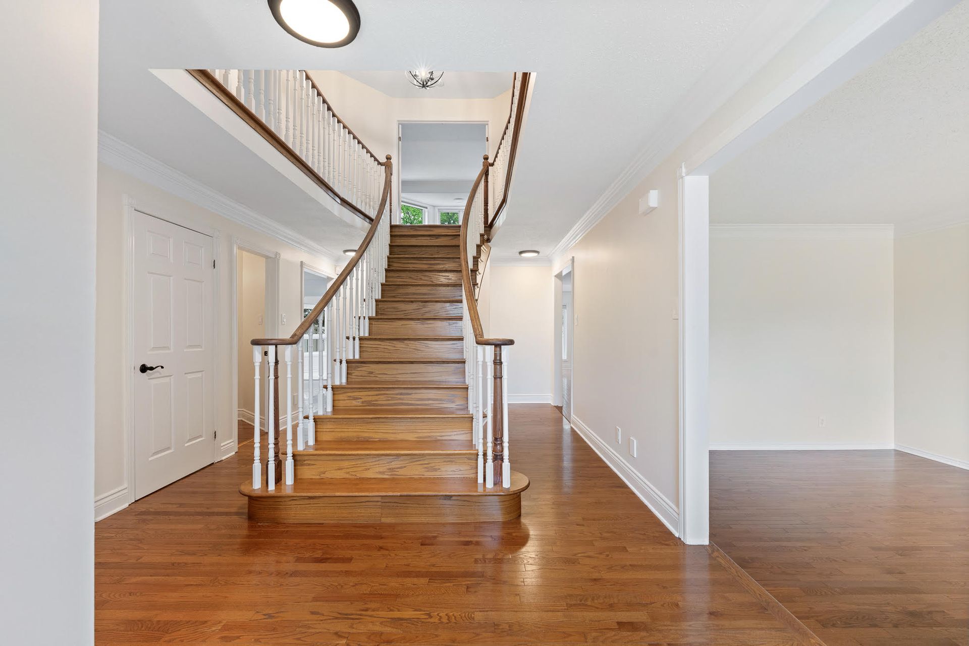 Our Splash of Colour in Ottawa’s Legacy